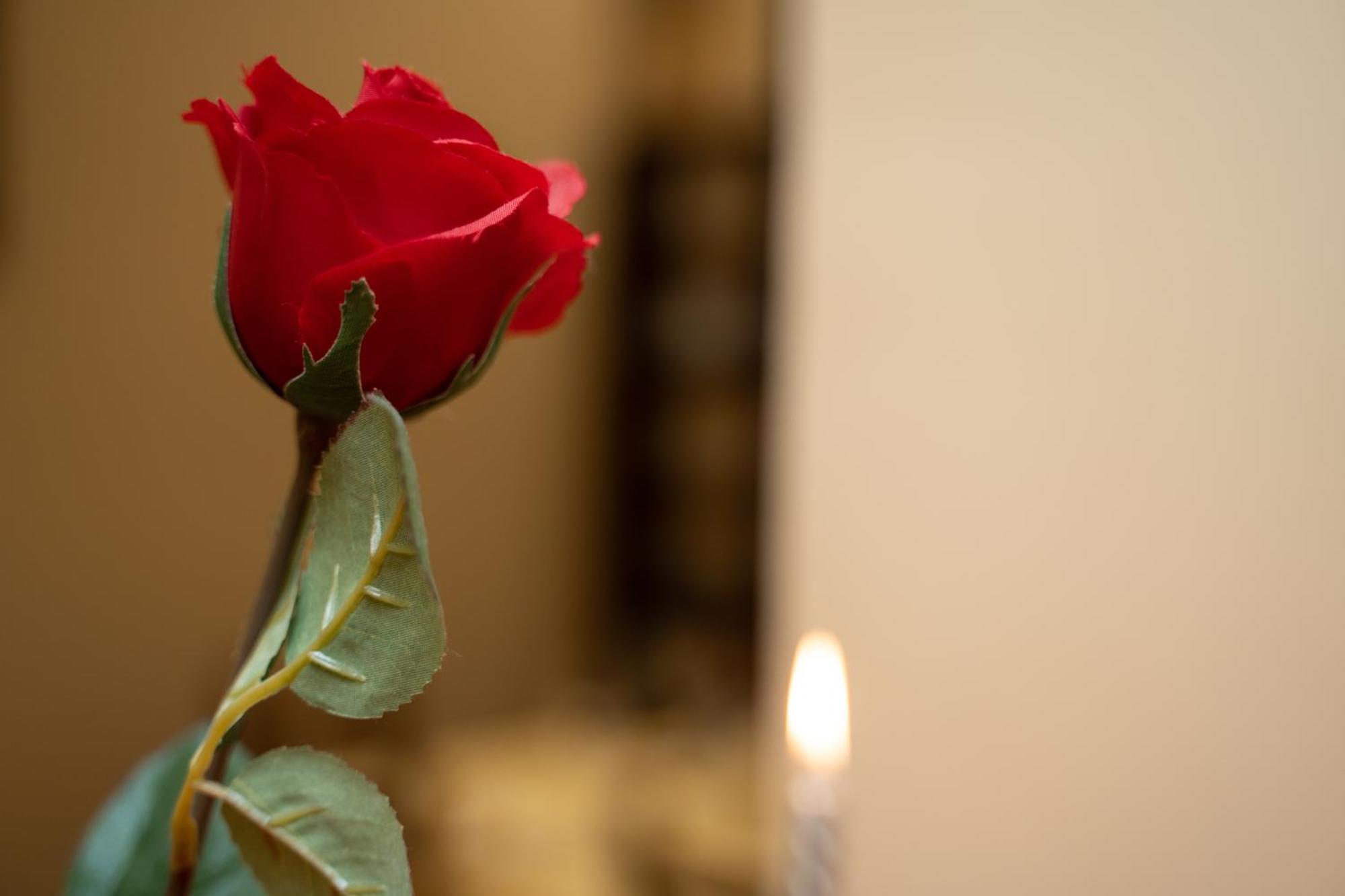 Navona Apartment Roma Ngoại thất bức ảnh